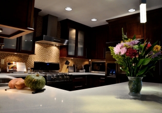 Luna Quartz Countertop