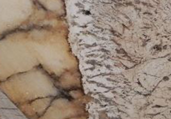 Alpinus-thumb-425x380